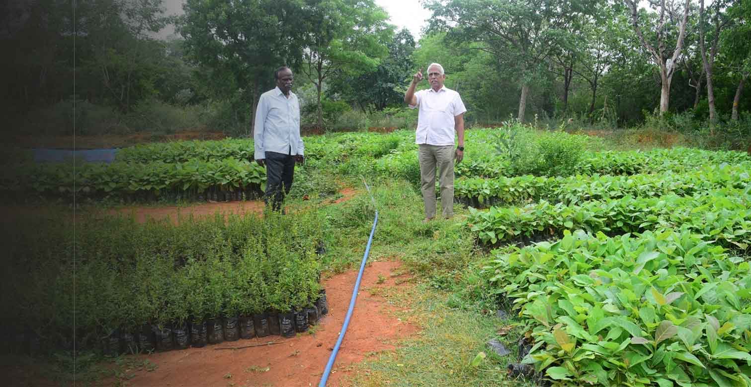 Kolunji-Ecological-Farm